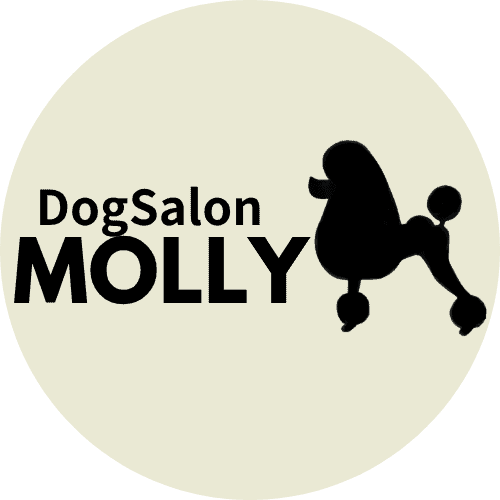 河内長野市のトリミングサロン【Dog Salon MOLLY】/千代田駅徒歩1分